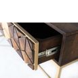 Caltan Console Table - 2 Drawer - Walnut Mango Wood and Gold - Geometric