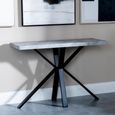Ezra Grey Console Table with Black Spider Legs