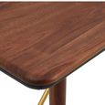 Kenso Console Table - Walnut Wood with Brass