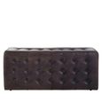 Buffalo Bench - Brown - Leather