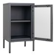 Dalby Cabinet - 1 Door - Narrow - Metal - Grey