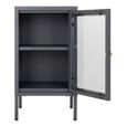 Dalby Cabinet - 1 Door - Narrow - Metal - Grey