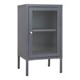 Dalby Cabinet - 1 Door - Narrow - Metal - Grey