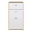 Best Cabinet - 1 Door - 2 Drawer - Oak and White