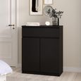 Naia Cabinet - 2 Door - Black