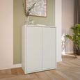 Alice Springs Cupboard - 2 Door - Light Grey