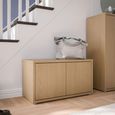 Alice Springs Storage Cabinet - 2 Door - Elegancia Oak