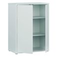 Alice Springs Cupboard - 2 Door - Light Grey