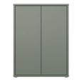 Alice Springs Cupboard - 2 Door - Sage Green