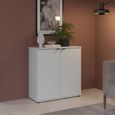 Ganymede Hall Cabinet - 2 Door - Light Grey