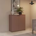 Ganymede Hall Cabinet - 2 Door - Terracotta