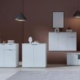 Ganymede Hall Cabinet - 2 Door - Light Grey
