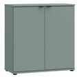 Ganymede Hall Cabinet - 2 Door - Sage Green