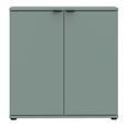 Ganymede Hall Cabinet - 2 Door - Sage Green