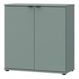 Ganymede Hall Cabinet - 2 Door - Sage Green