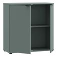 Ganymede Hall Cabinet - 2 Door - Sage Green