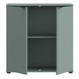 Ganymede Hall Cabinet - 2 Door - Sage Green