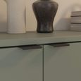 Ganymede Hall Cabinet - 2 Door - Sage Green