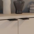 Ganymede Hall Cabinet - 2 Door - Sand