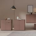 Ganymede Hall Cabinet - 2 Door - Terracotta
