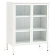 Acier Metal Cabinet - 2 Door - White