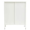 Acier Metal Cabinet - 2 Door - White