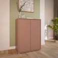 Alice Springs Cupboard - 2 Door - Terracotta