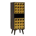 Arti Tall Cabinet - 2 Door - Black - Mango Wood