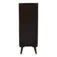 Arti Tall Cabinet - 2 Door - Black - Mango Wood