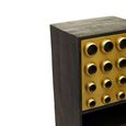 Arti Tall Cabinet - 2 Door - Black - Mango Wood