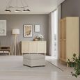 Calasetta Rattan 2 Door Hall Cabinet