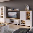 Celesto White 2 Door Low Cabinet