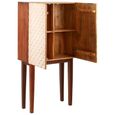 Costal Hall Cabinet - 2 Door - Dark Mango Wood