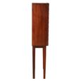 Costal Hall Cabinet - 2 Door - Dark Mango Wood