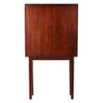Costal Hall Cabinet - 2 Door - Dark Mango Wood