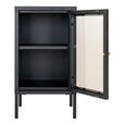 Dalby Cabinet - 1 Door - Narrow - Metal - Black