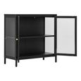 Dalby Cabinet - 2 Door - Metal - Black