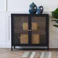 Dalby Cabinet - 2 Door - Metal - Black