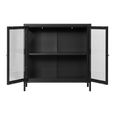 Dalby Cabinet - 2 Door - Metal - Black