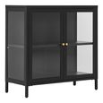 Dalby Cabinet - 2 Door - Metal - Black