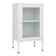 Dalby Cabinet - 1 Door - Narrow - Metal - White