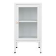 Dalby Cabinet - 1 Door - Narrow - Metal - White