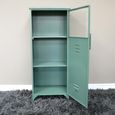 Hall Cabinet - 1 Door - Green Metal - Industrial