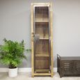 Tall Cabinet - Rustic Mango Wood and Metal - 1 Door
