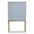 Duvali Hall Cabinet - 2 Door - Silver and Gold