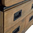 Iron Works Hall Cabinet - Mango Wood - 1 Door