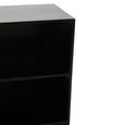 Kochi Hall Cabinet - 1 Door - Black - Mango Wood