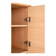 Kyoto Hall Cabinet - 2 Door - Oak