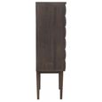 Lucca Hall Cabinet - 2 Door - Dark Oak