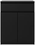 Naia Black 2 Door Cabinet